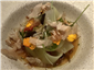 cuttlefish and eel
